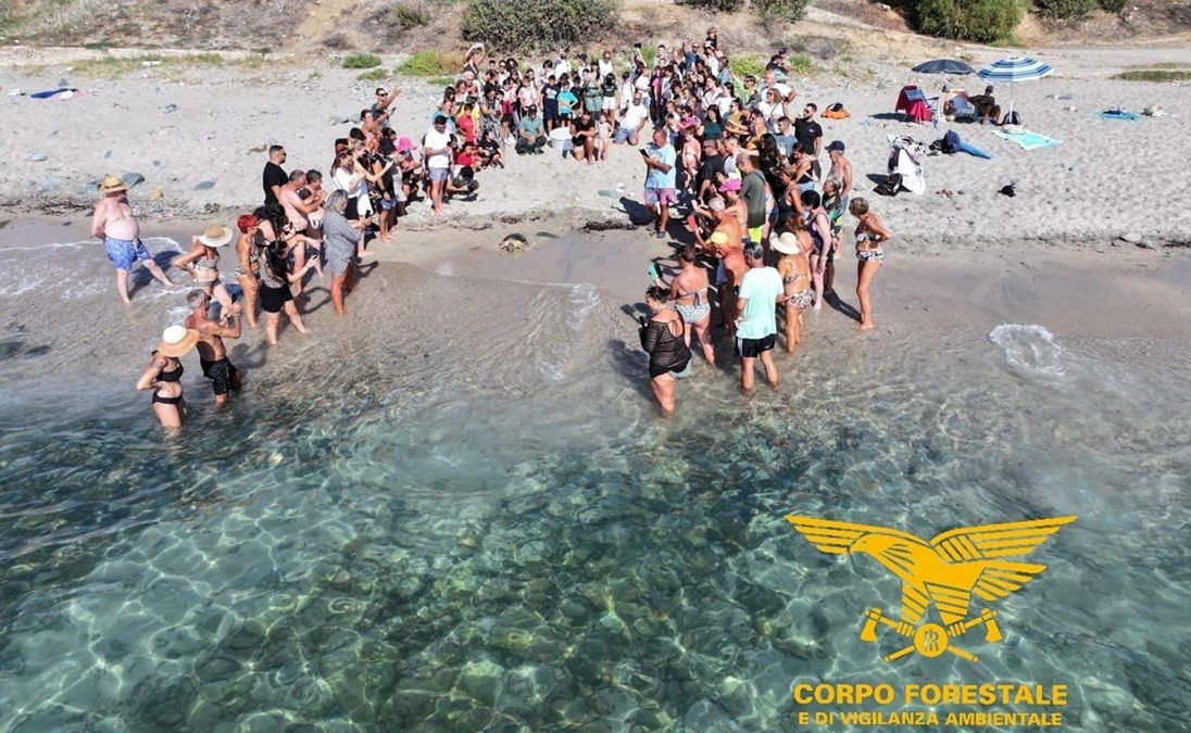 Porto Frailis: liberata una Caretta caretta davanti a 70 bambini