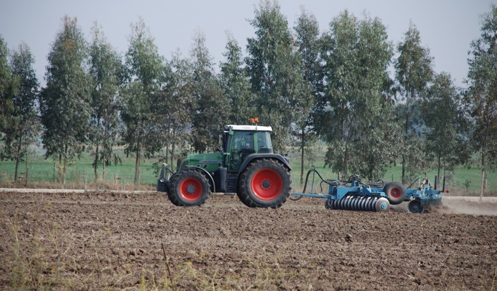 Bando insediamento giovani in agricoltura