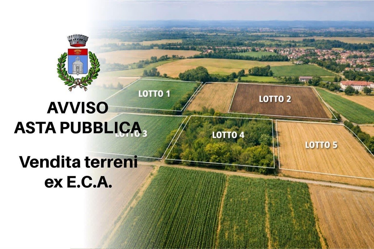 Samassi mette all’asta i terreni comunali ex Eca