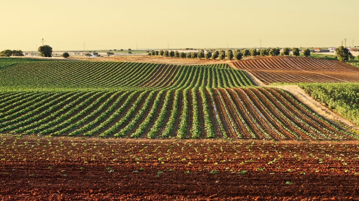 Biodiversità e filiera corta, 400 mila euro dalla Regione