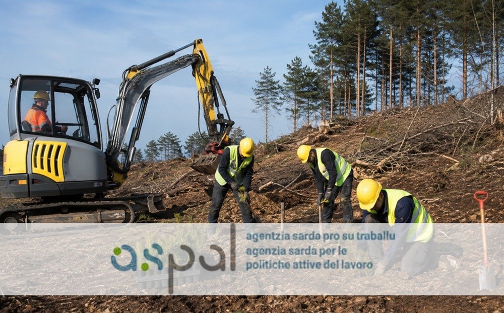 Guspini: al via le selezioni per i cantieri forestali