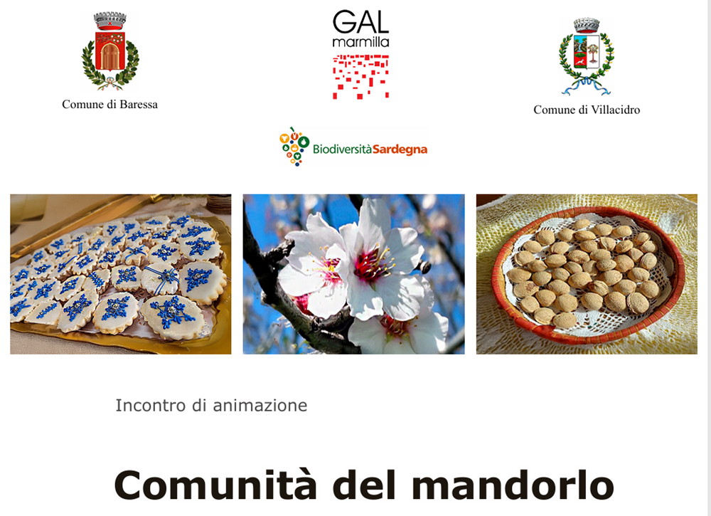 Villacidro: incontro "Comunità del mandorlo"