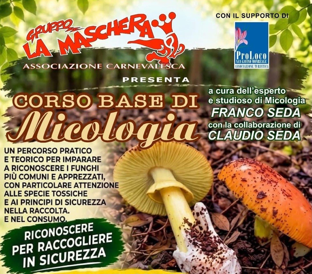 San Gavino: sette incontri per il corso base di micologia