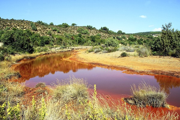 foto Arbus Turismo