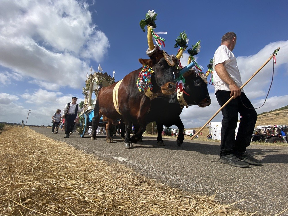 Guspini: posteggi per la festa di Sant’Antonio