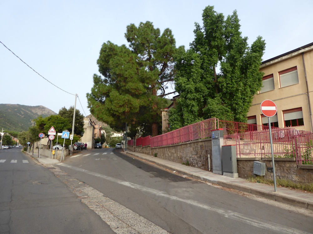 Villacidro: intervento sugli alberi della scuola di via Cavour
