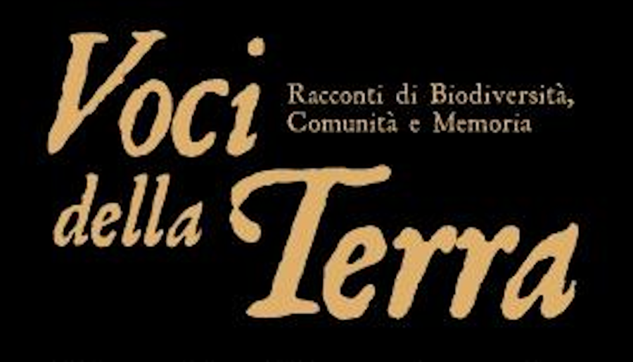 “Voci della Terra”, incontro sulla Barracocca di Villacidro